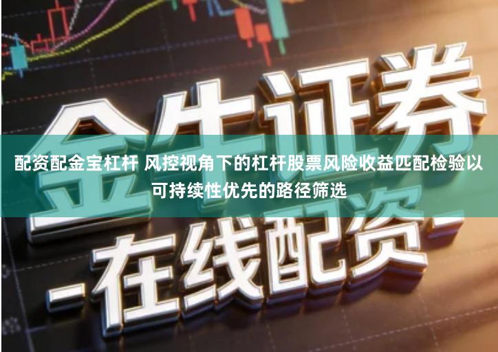 配资配金宝杠杆 风控视角下的杠杆股票风险收益匹配检验以可持续性优先的路径筛选