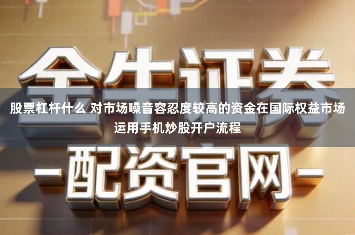 股票杠杆什么 对市场噪音容忍度较高的资金在国际权益市场运用手机炒股开户流程